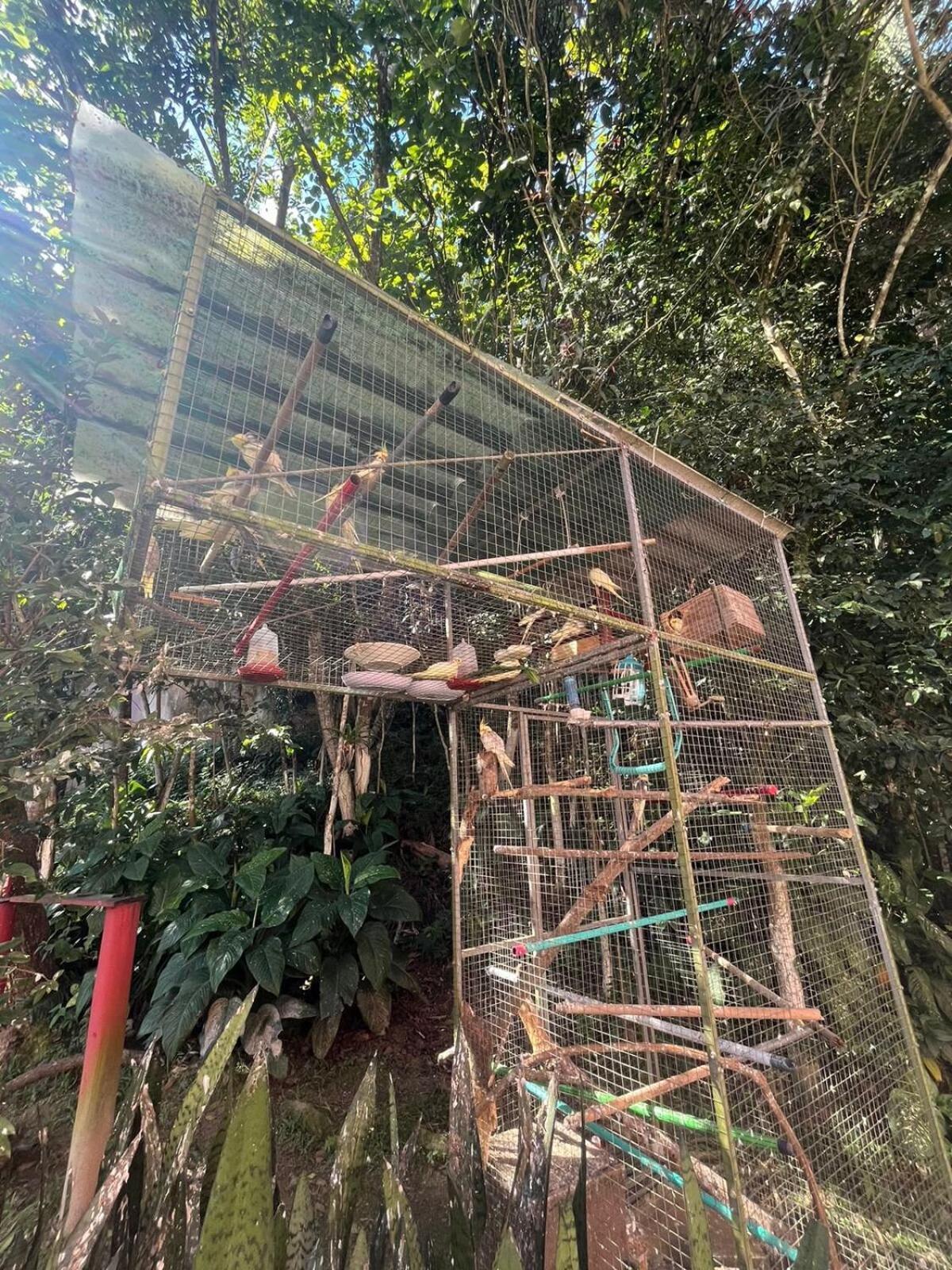 Ape Do Salomao Apartamento *
